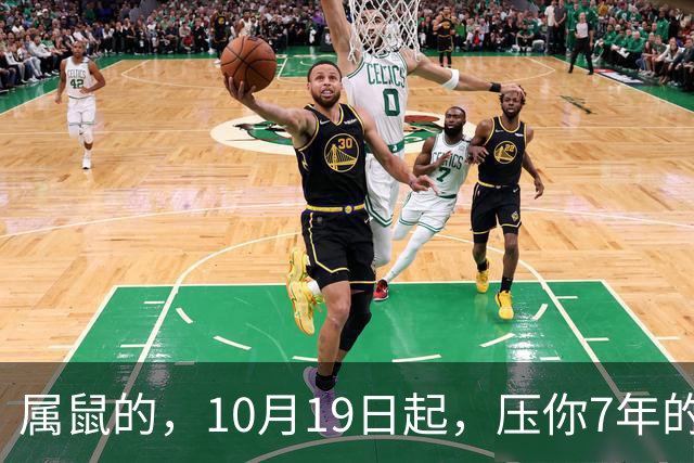 属鼠的，10月19日起，压你7年的死结，终于松了，从此一飞冲天